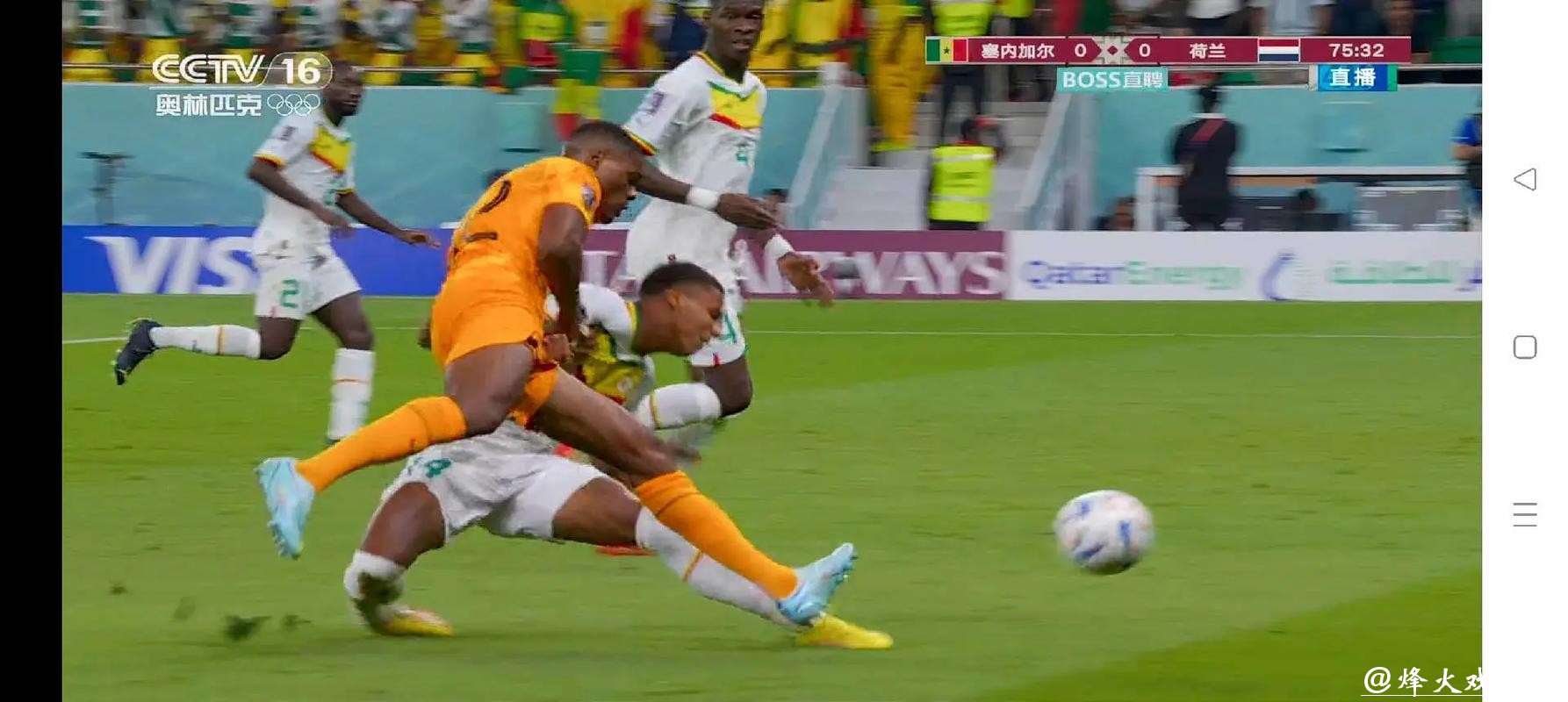 世界杯直播在线观看免费