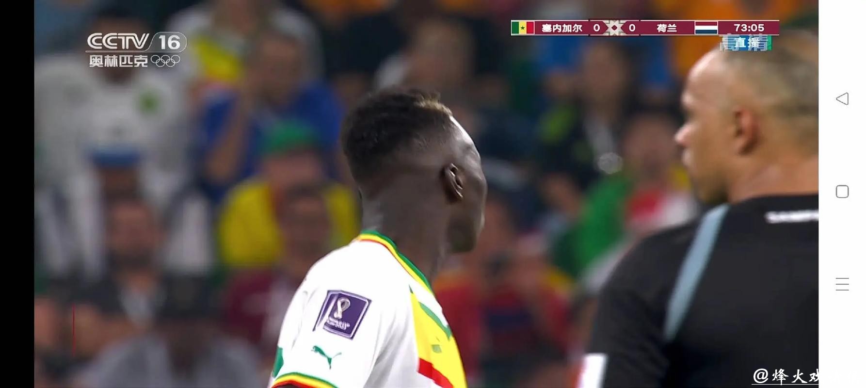 世界杯直播在线观看免费